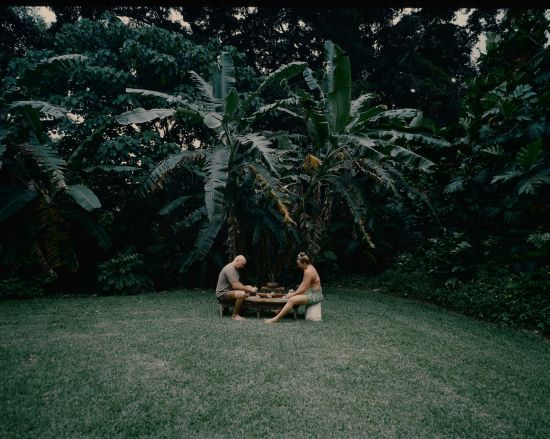 Two people sitting on grass with tropical plants behind them
