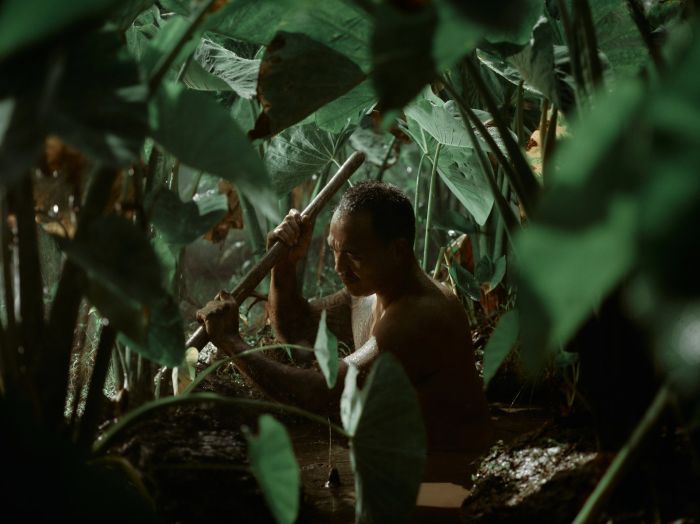Man working shirtless in lo‘i with light leaks in photo