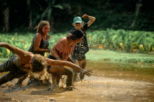 People working with oxen in muddy lo‘i