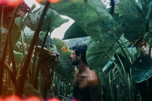 Man working shirtless in lo‘i with light leaks in photo