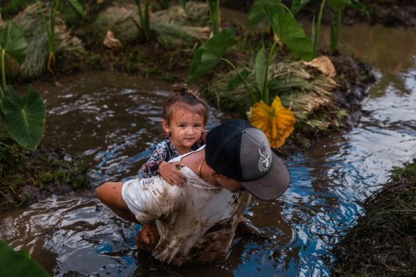 Man carrying child through stream in lo‘i