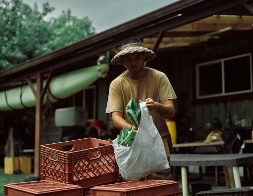 Man placing produce into crate outside building
