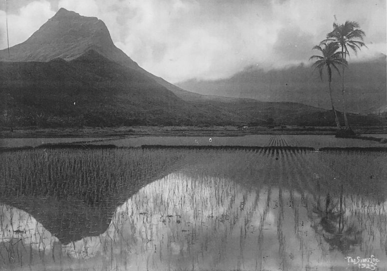 Hawaiian man pounding ʻai with keiki. 1890s.