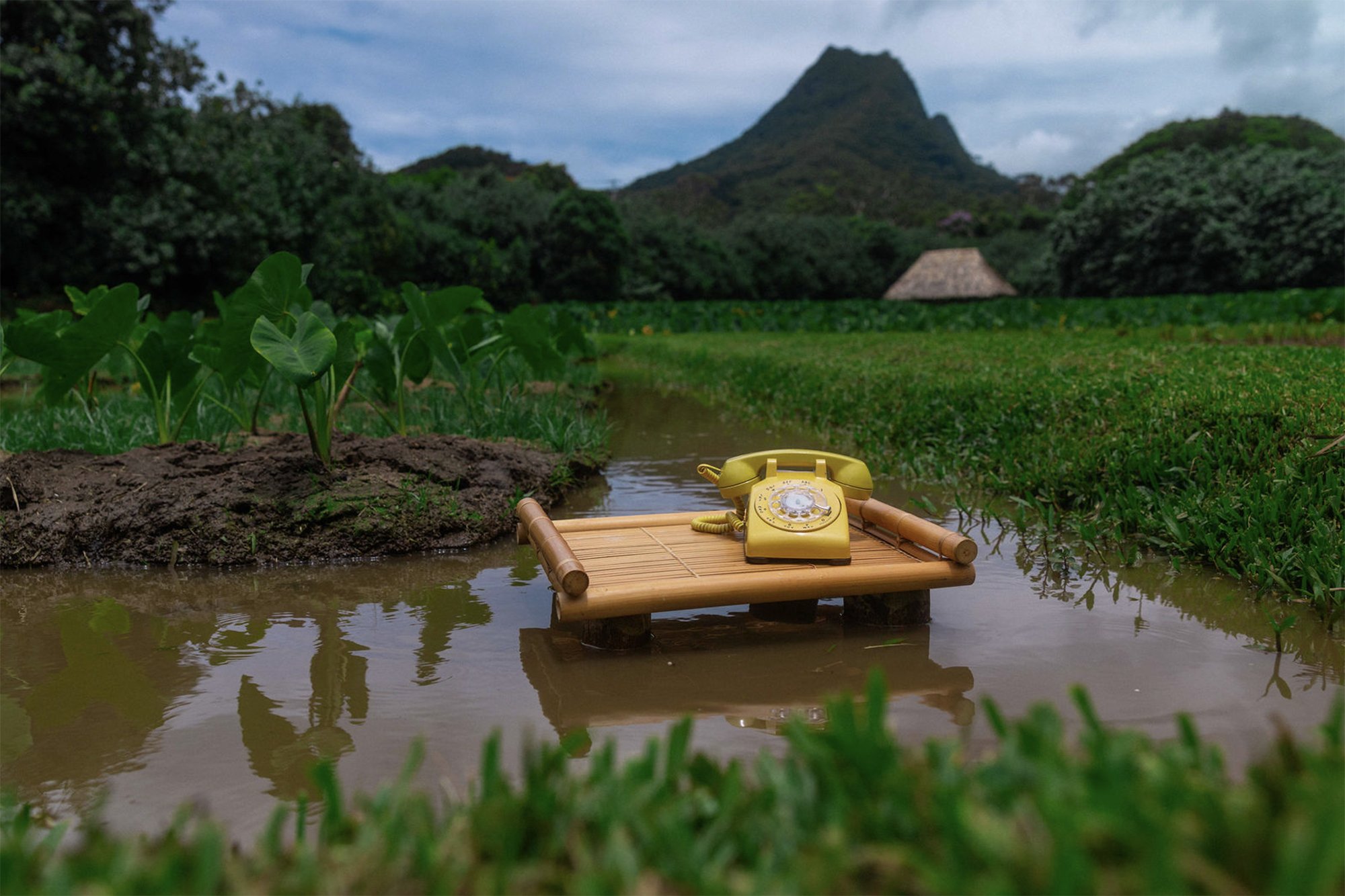 Kalo Hotline Feature